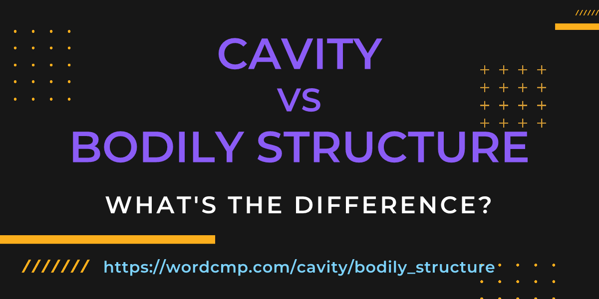 Difference between cavity and bodily structure
