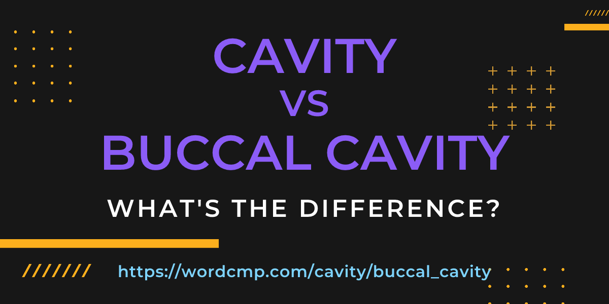 Difference between cavity and buccal cavity