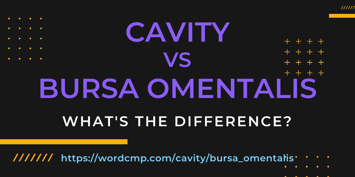 Difference between cavity and bursa omentalis