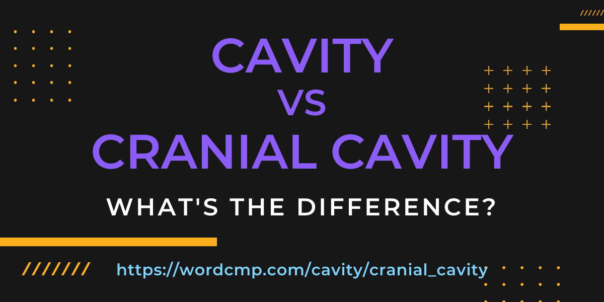 Difference between cavity and cranial cavity