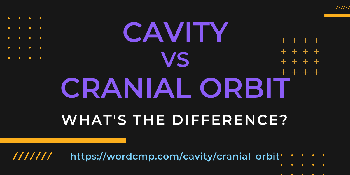 Difference between cavity and cranial orbit