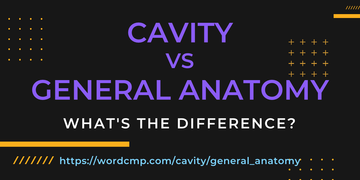 Difference between cavity and general anatomy