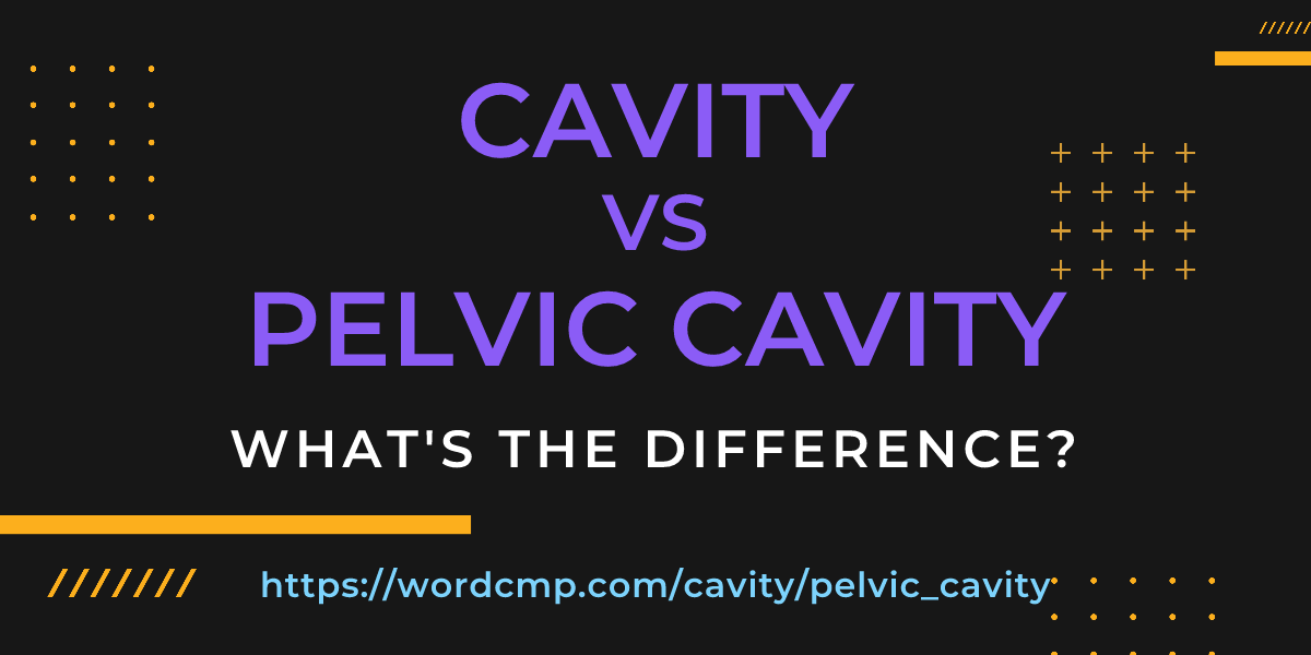 Difference between cavity and pelvic cavity