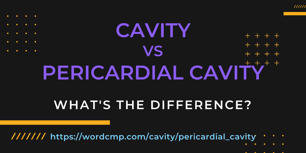 Difference between cavity and pericardial cavity