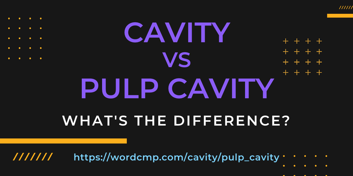 Difference between cavity and pulp cavity