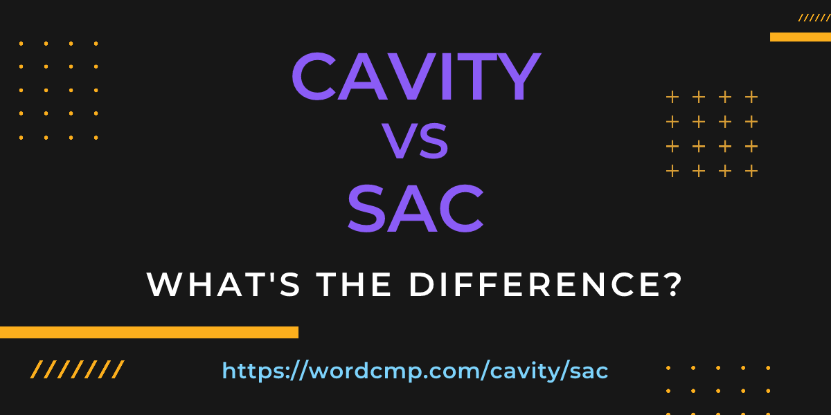 Difference between cavity and sac