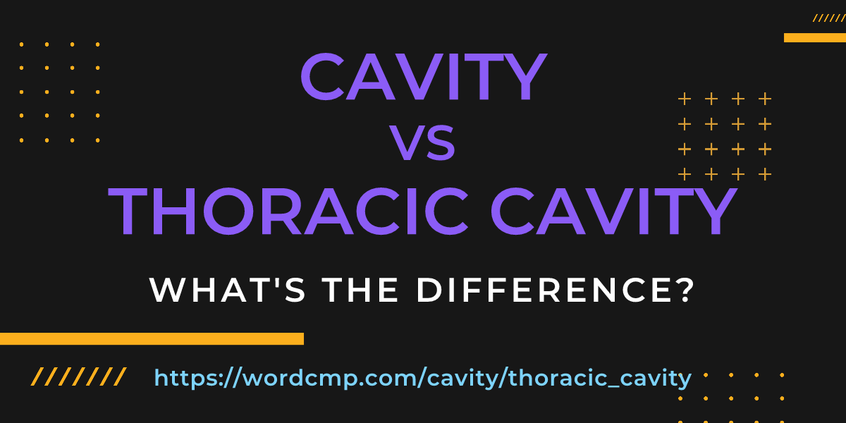 Difference between cavity and thoracic cavity