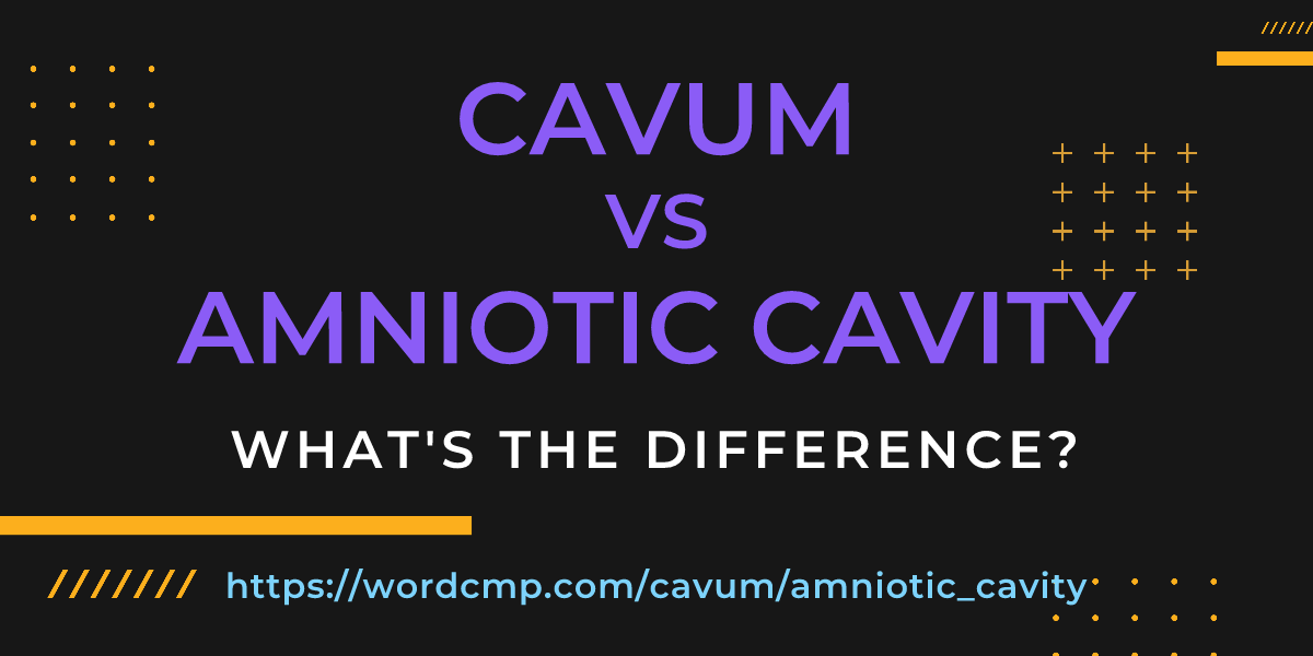 Difference between cavum and amniotic cavity