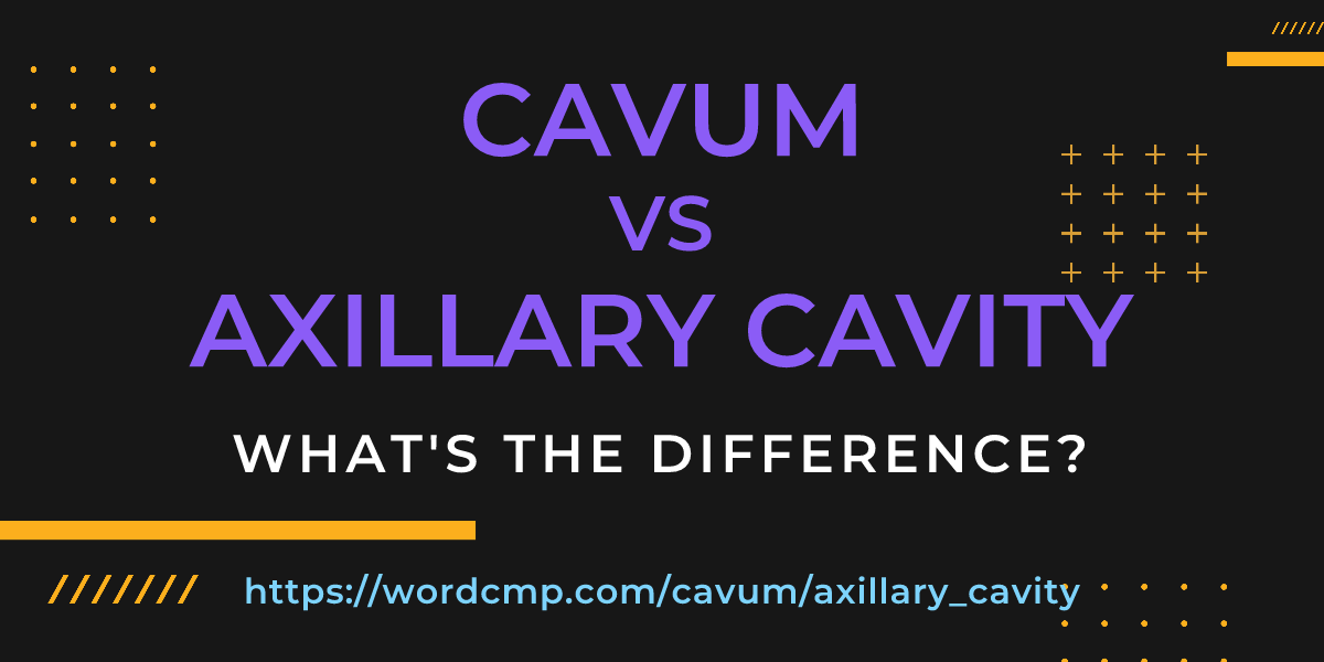 Difference between cavum and axillary cavity