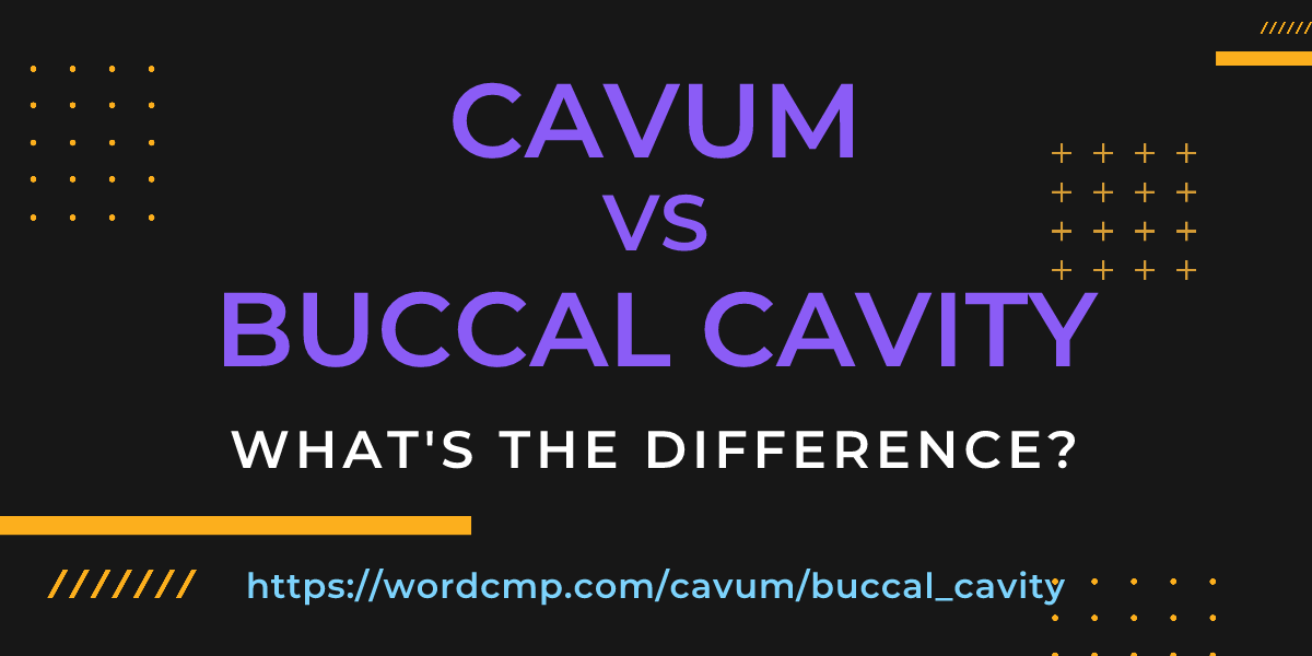 Difference between cavum and buccal cavity