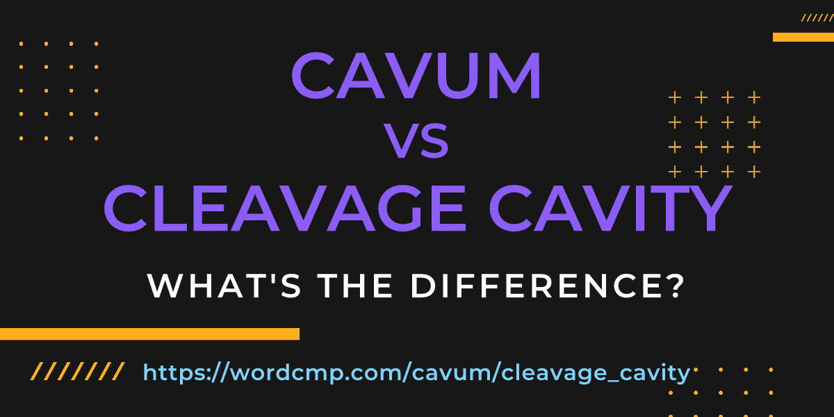 Difference between cavum and cleavage cavity