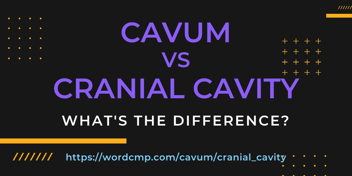 Difference between cavum and cranial cavity