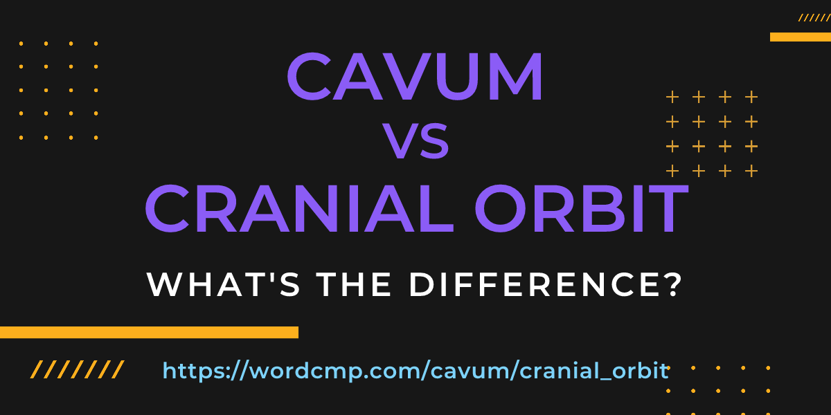Difference between cavum and cranial orbit