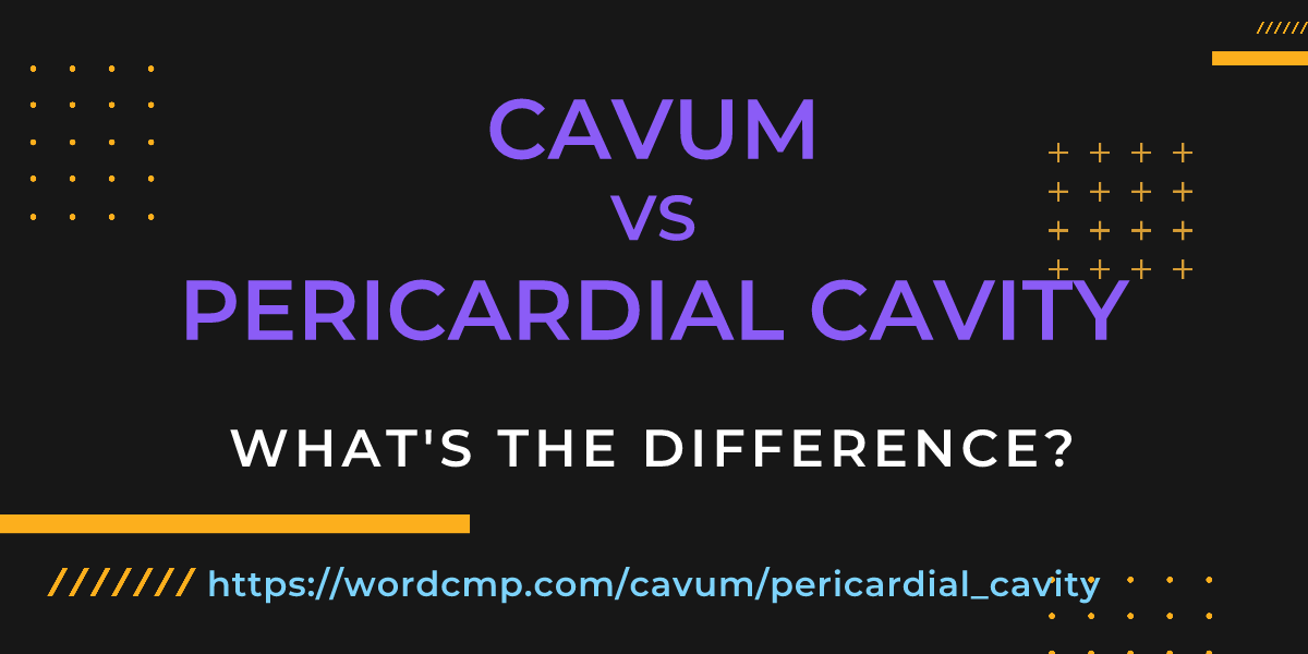 Difference between cavum and pericardial cavity