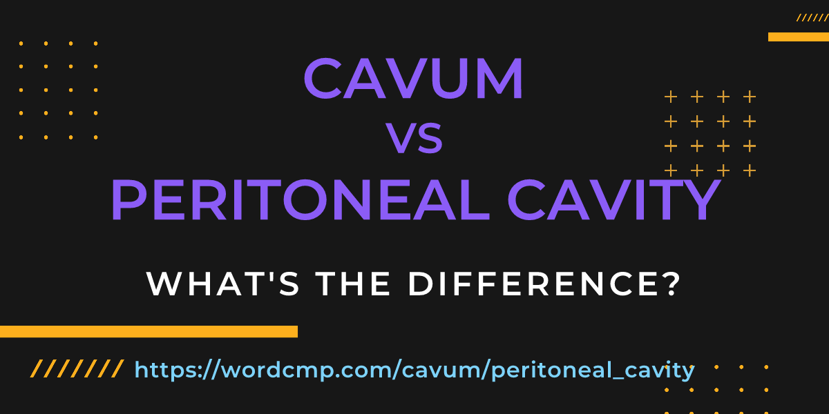 Difference between cavum and peritoneal cavity