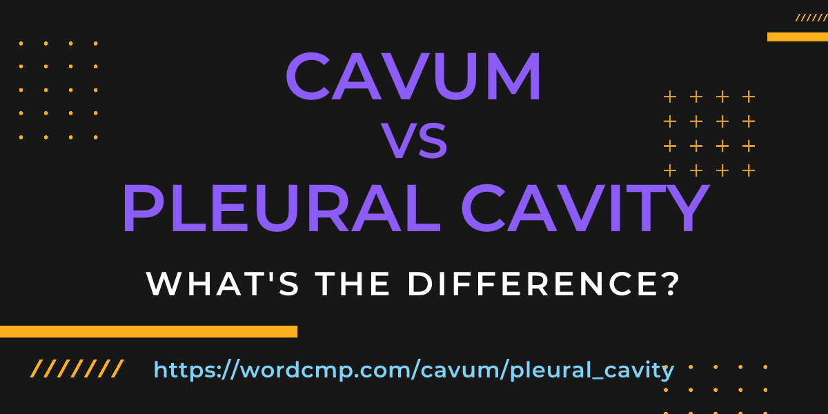 Difference between cavum and pleural cavity