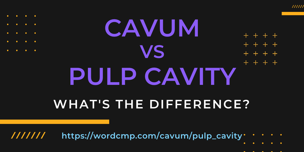 Difference between cavum and pulp cavity