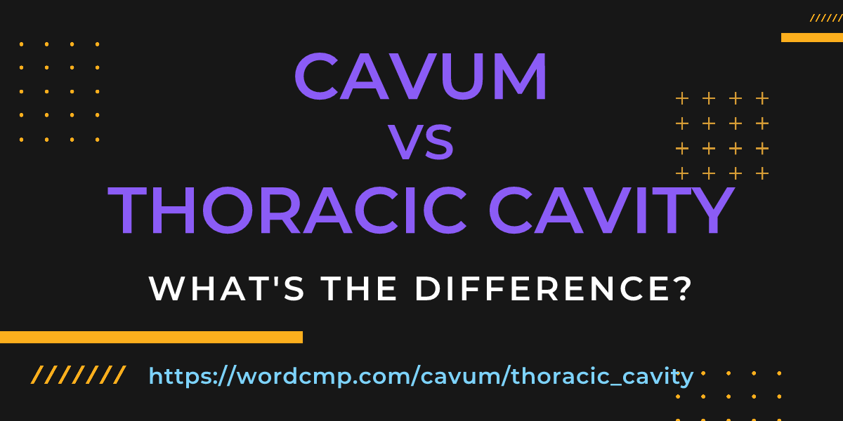 Difference between cavum and thoracic cavity