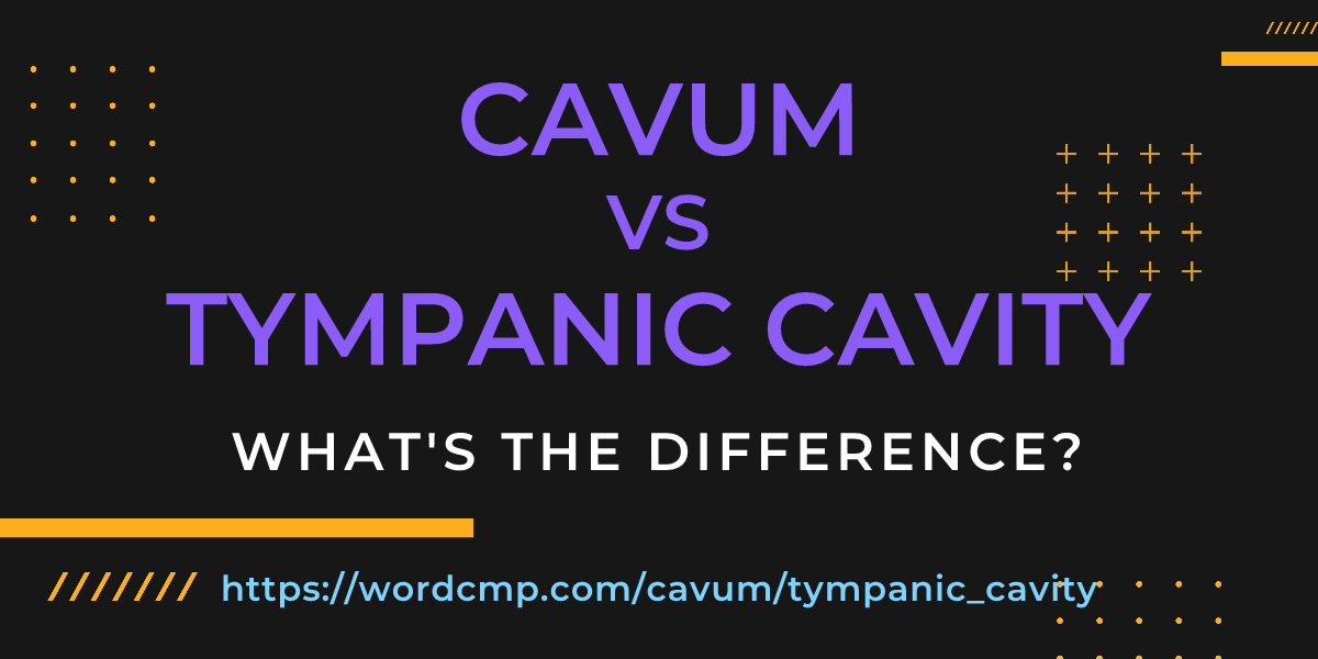 Difference between cavum and tympanic cavity