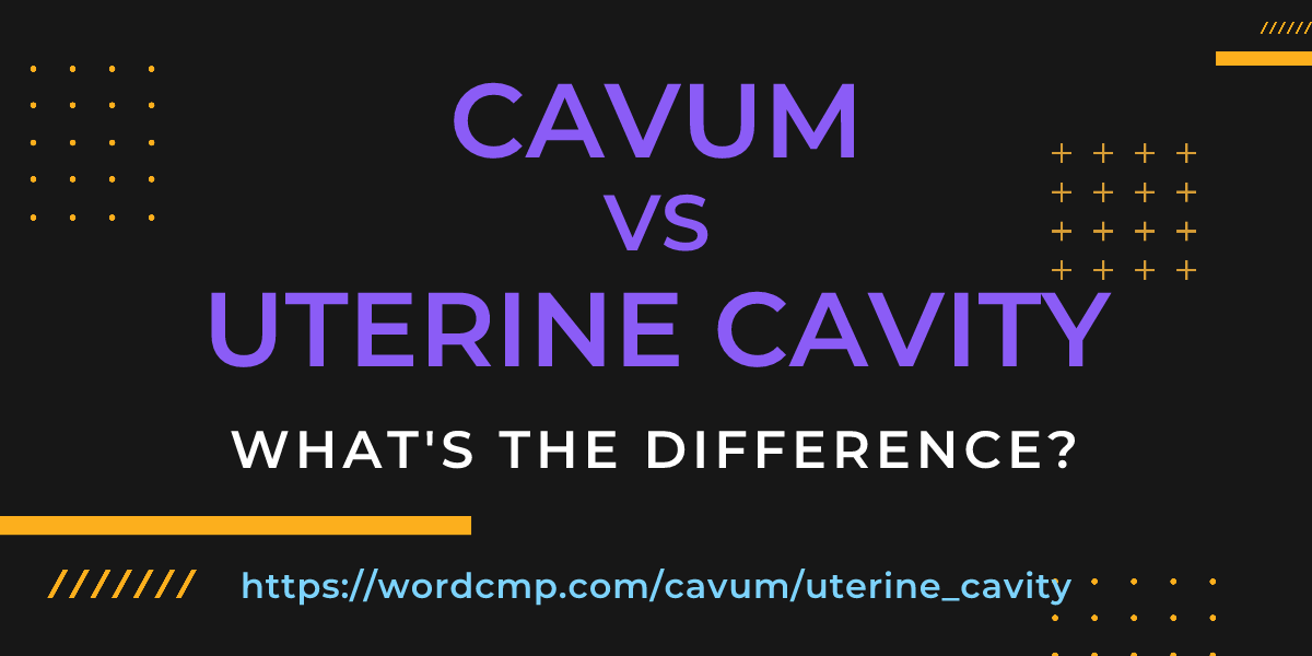 Difference between cavum and uterine cavity