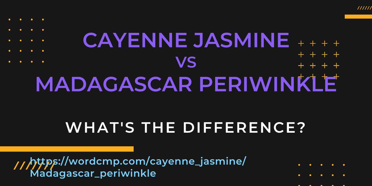 Difference between cayenne jasmine and Madagascar periwinkle