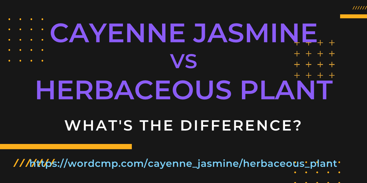 Difference between cayenne jasmine and herbaceous plant