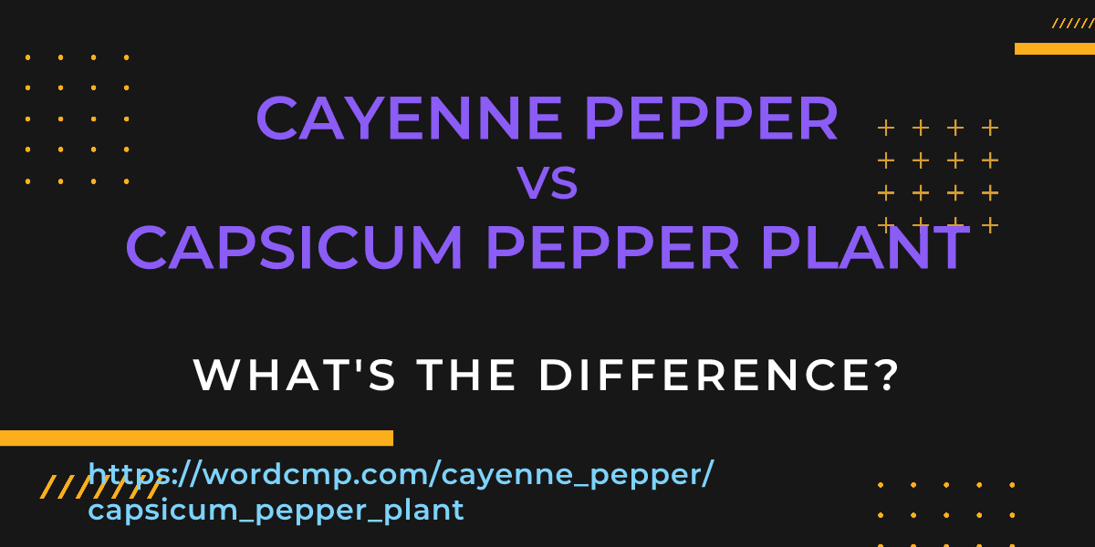 Difference between cayenne pepper and capsicum pepper plant