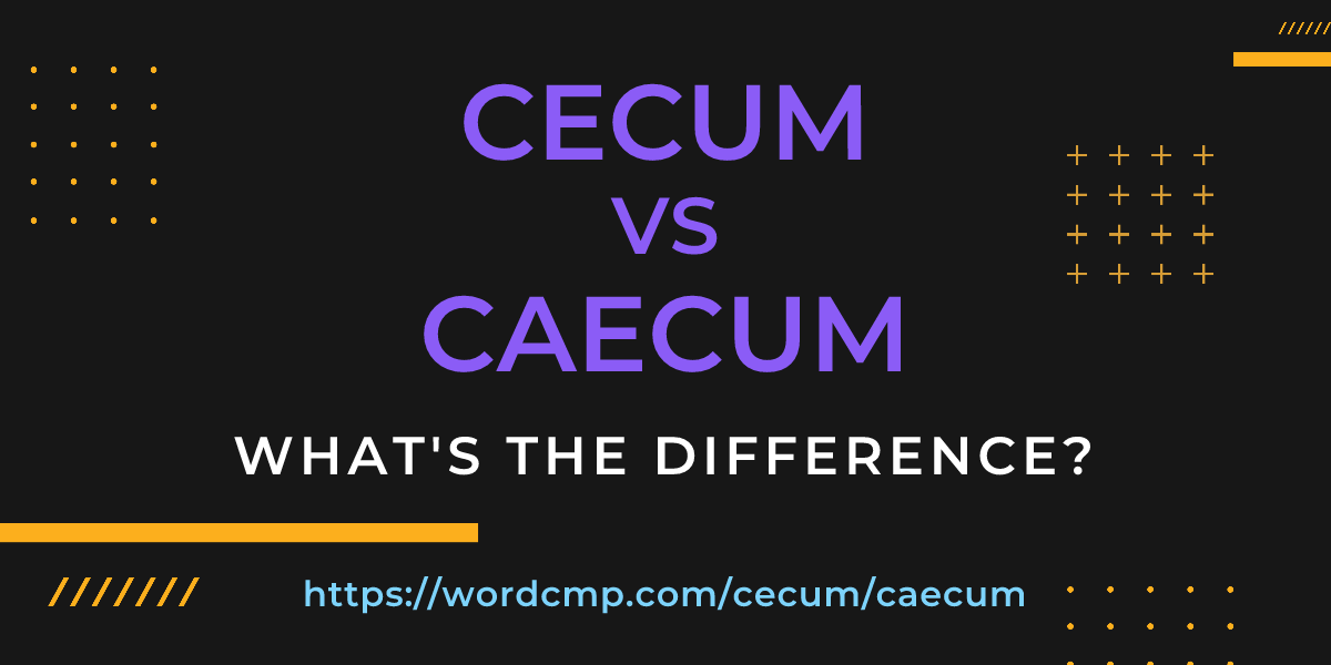 Difference between cecum and caecum
