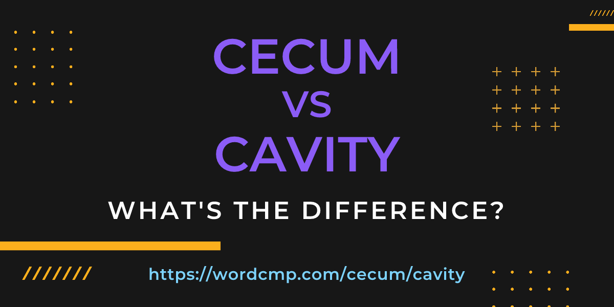 Difference between cecum and cavity
