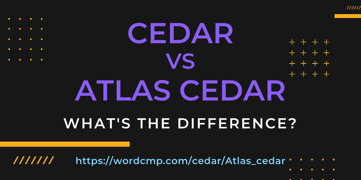 Difference between cedar and Atlas cedar