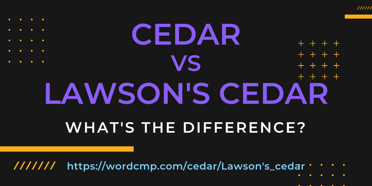 Difference between cedar and Lawson's cedar