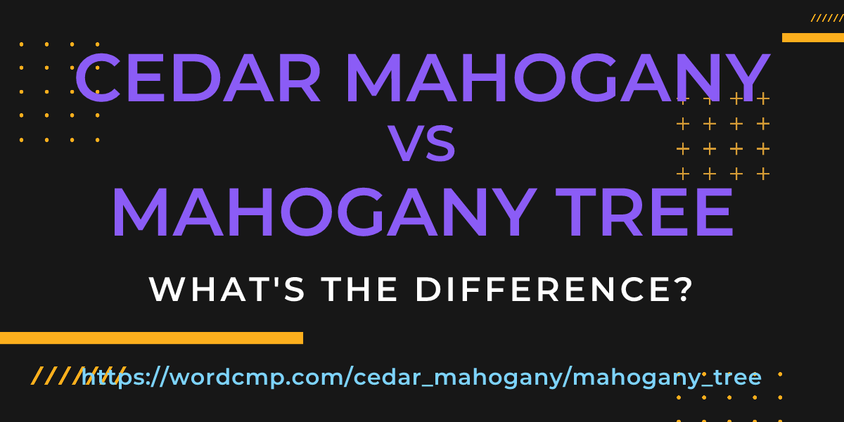 Difference between cedar mahogany and mahogany tree