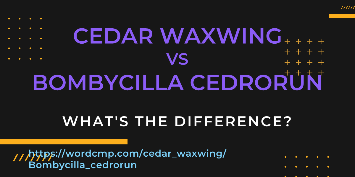 Difference between cedar waxwing and Bombycilla cedrorun