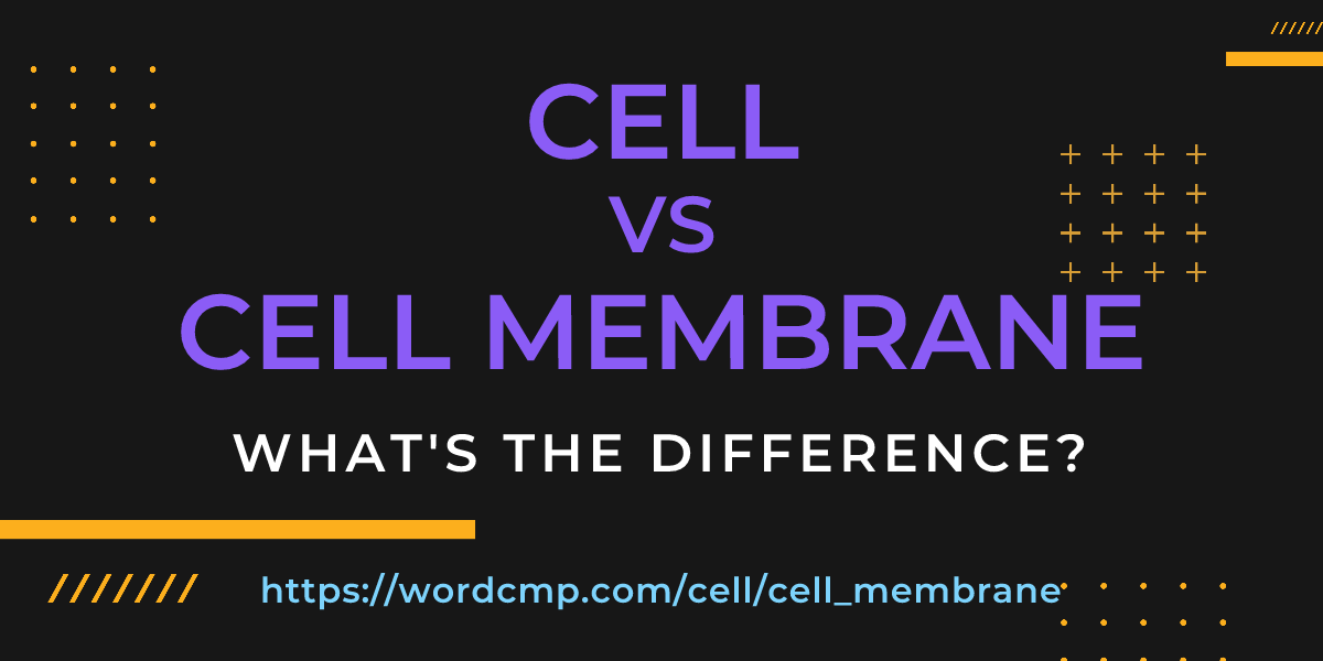 Difference between cell and cell membrane