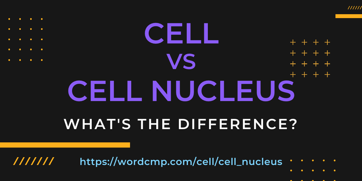 Difference between cell and cell nucleus