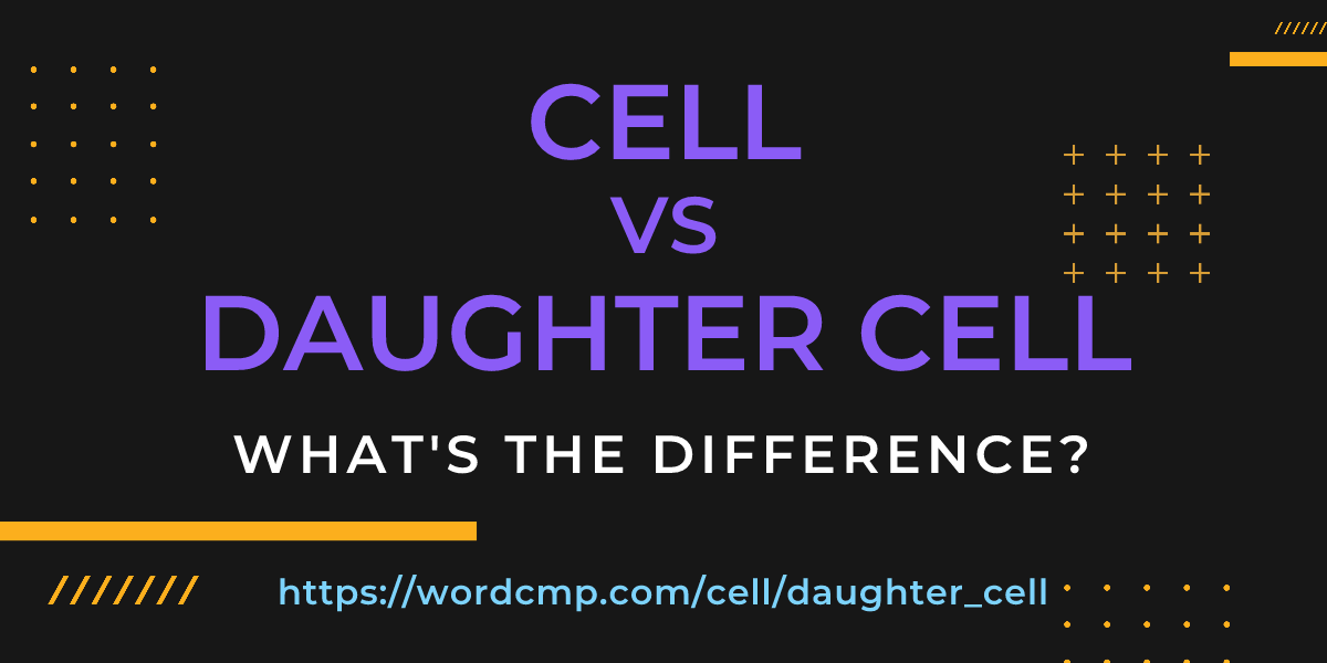 Difference between cell and daughter cell