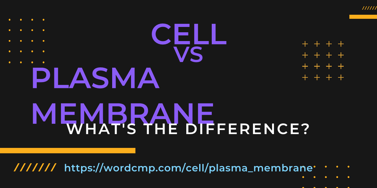 Difference between cell and plasma membrane