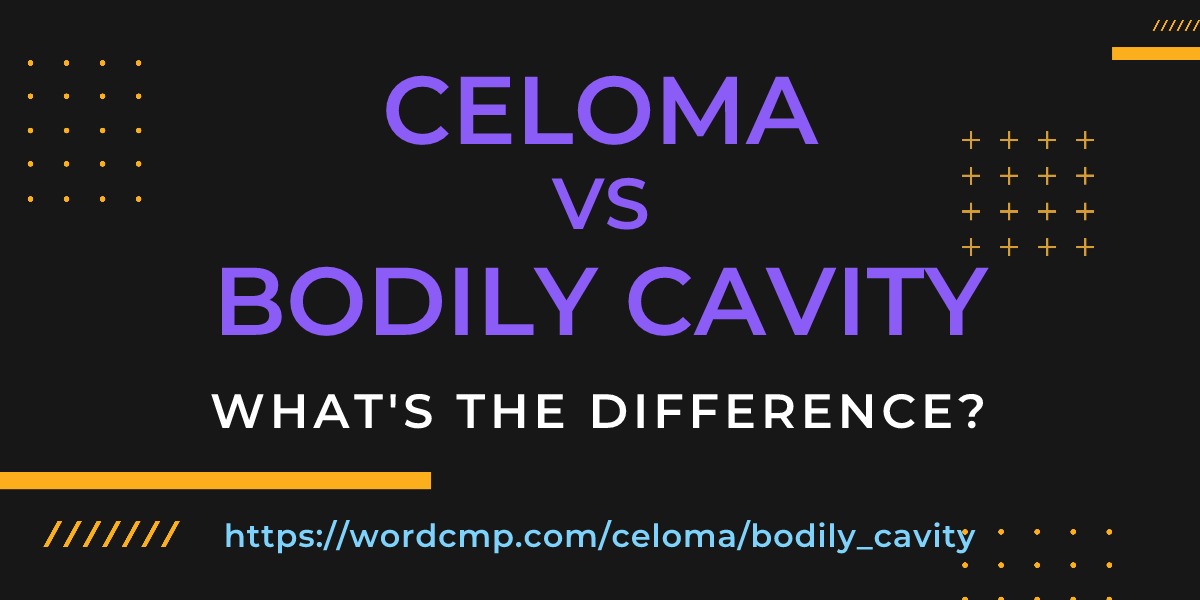 Difference between celoma and bodily cavity