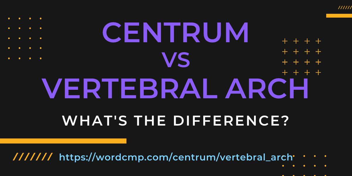Difference between centrum and vertebral arch