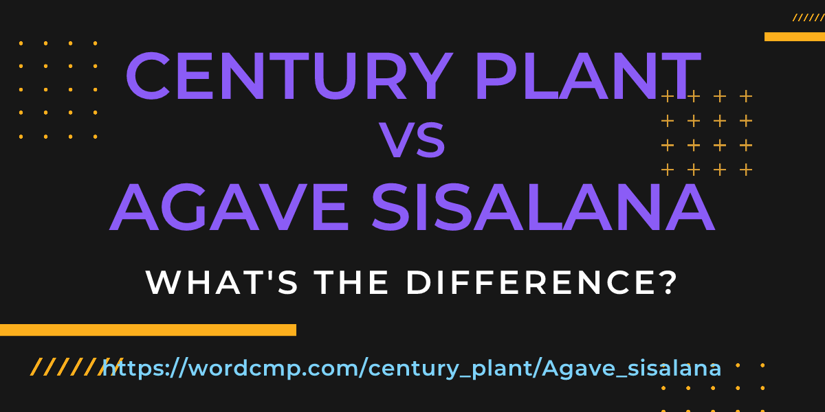 Difference between century plant and Agave sisalana