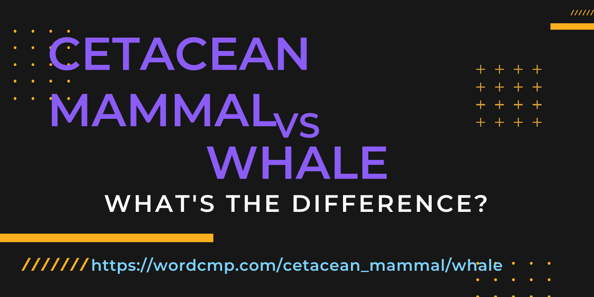 Difference between cetacean mammal and whale
