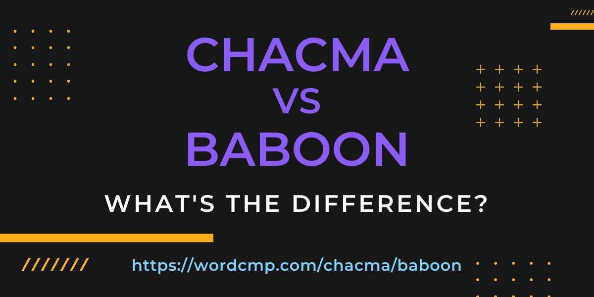 Difference between chacma and baboon