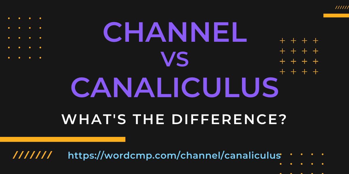 Difference between channel and canaliculus
