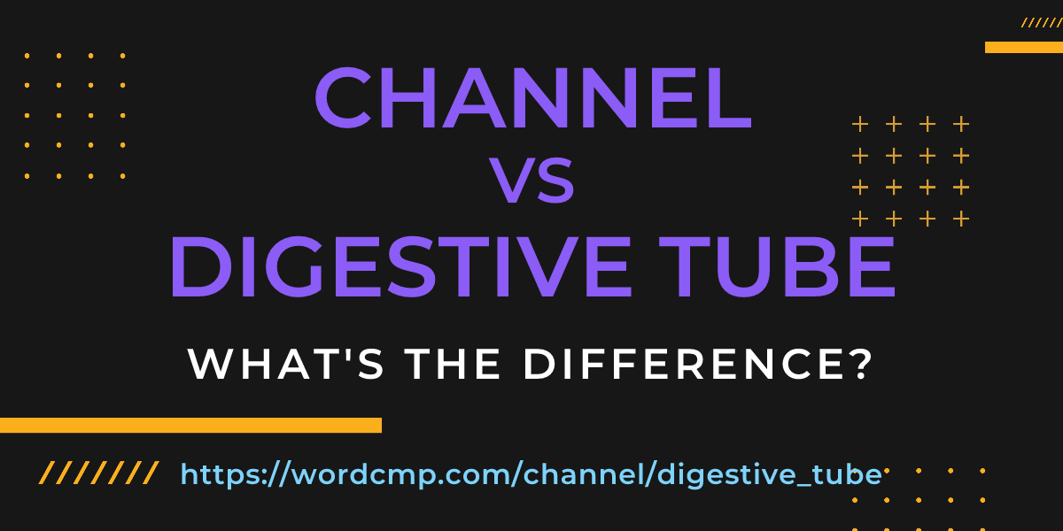 Difference between channel and digestive tube