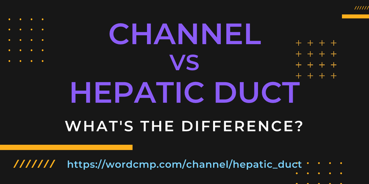 Difference between channel and hepatic duct