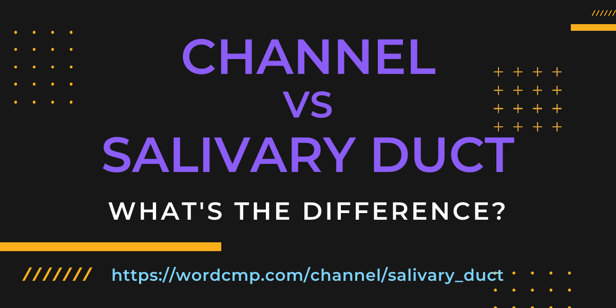 Difference between channel and salivary duct