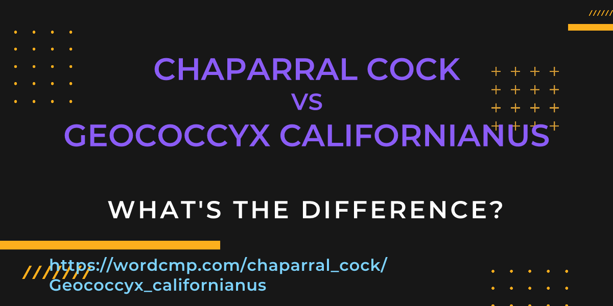 Difference between chaparral cock and Geococcyx californianus