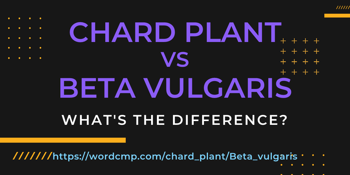 Difference between chard plant and Beta vulgaris