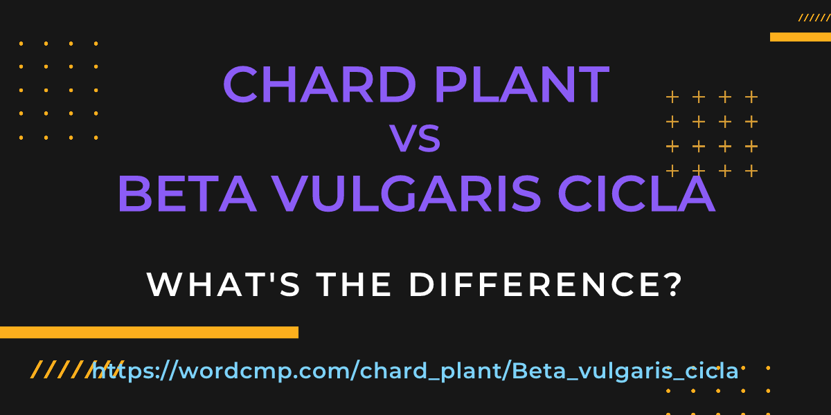 Difference between chard plant and Beta vulgaris cicla