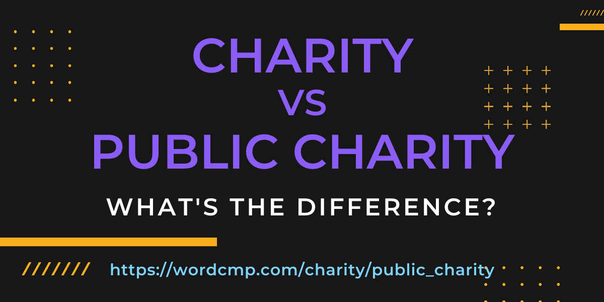 Difference between charity and public charity
